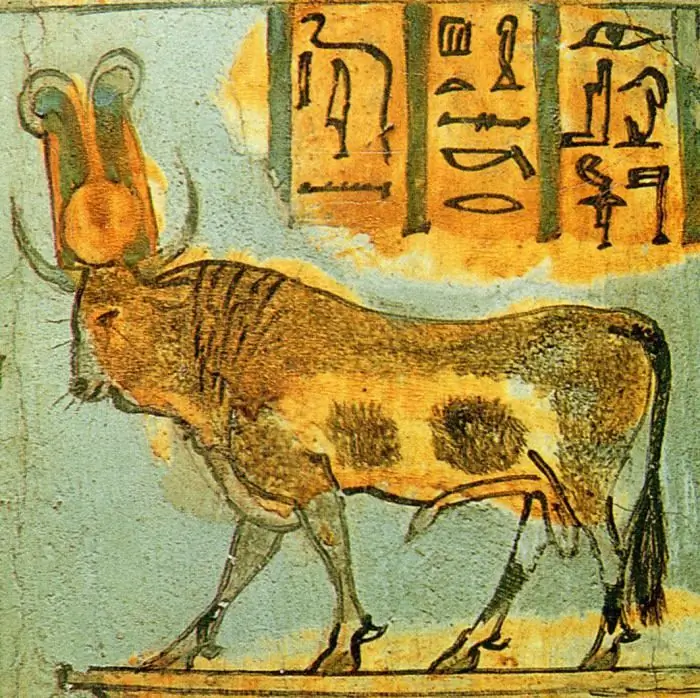 sacred Apis bull
